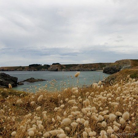 Belle-Île, Bretagne
